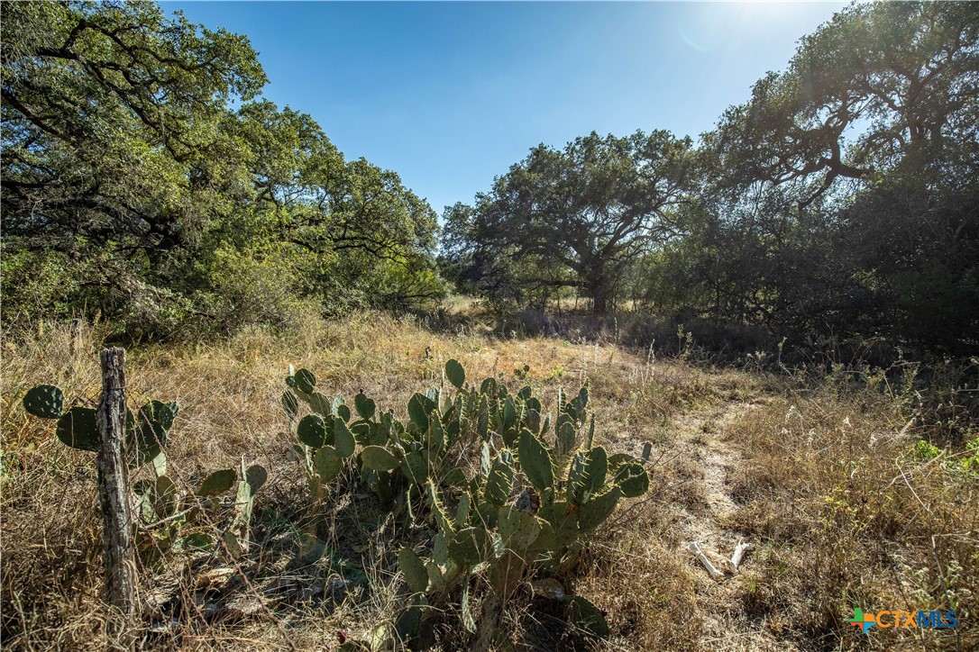 21123 Lamm Road Property Photo 27