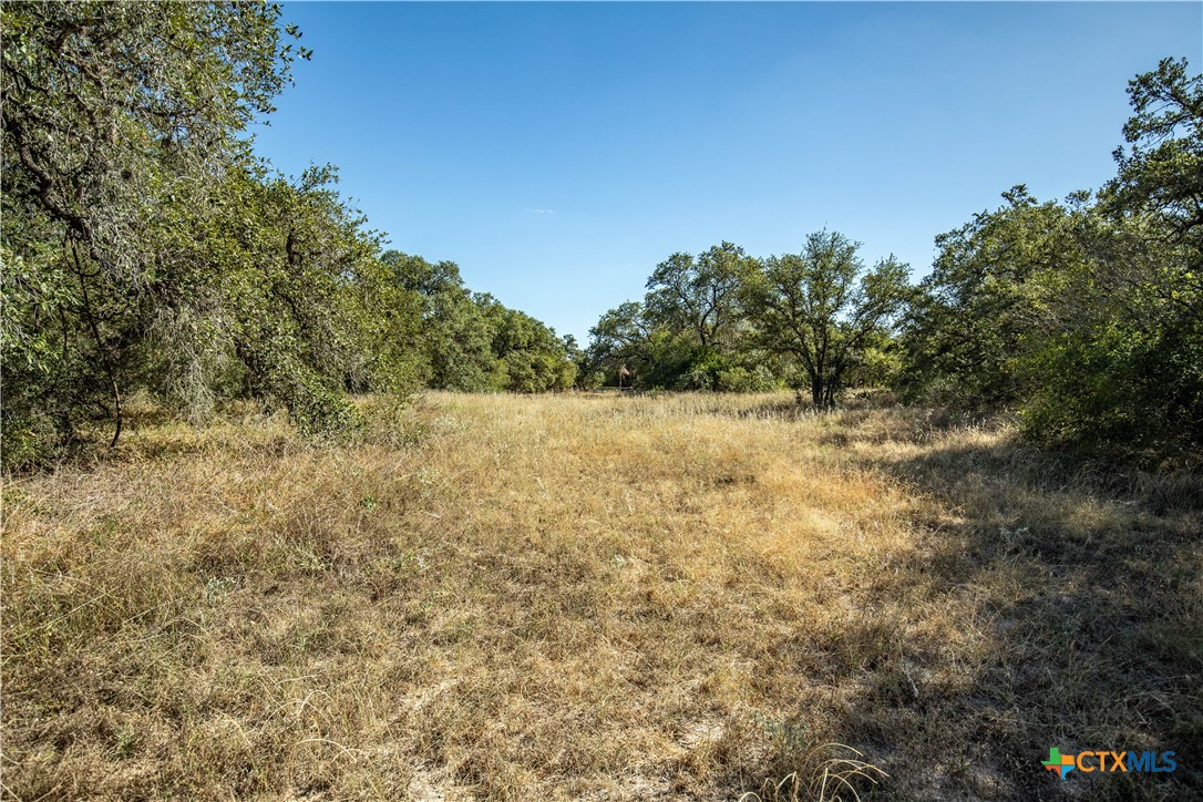 21123 Lamm Road Property Photo 28