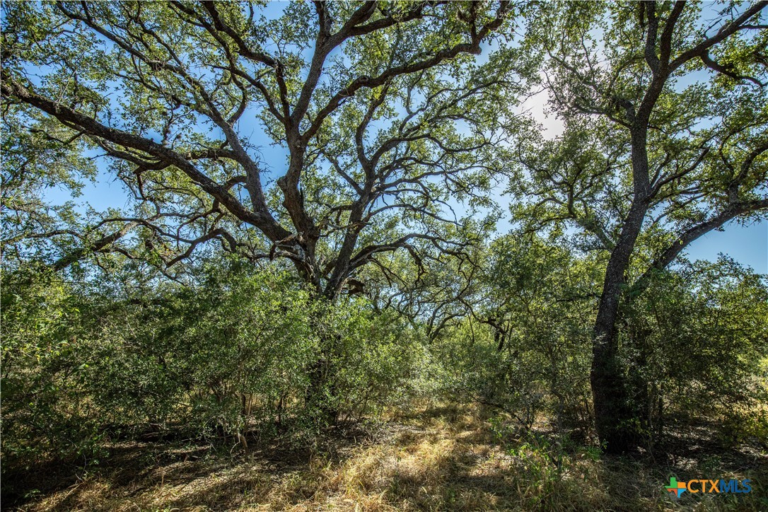 21123 Lamm Road Property Photo 29
