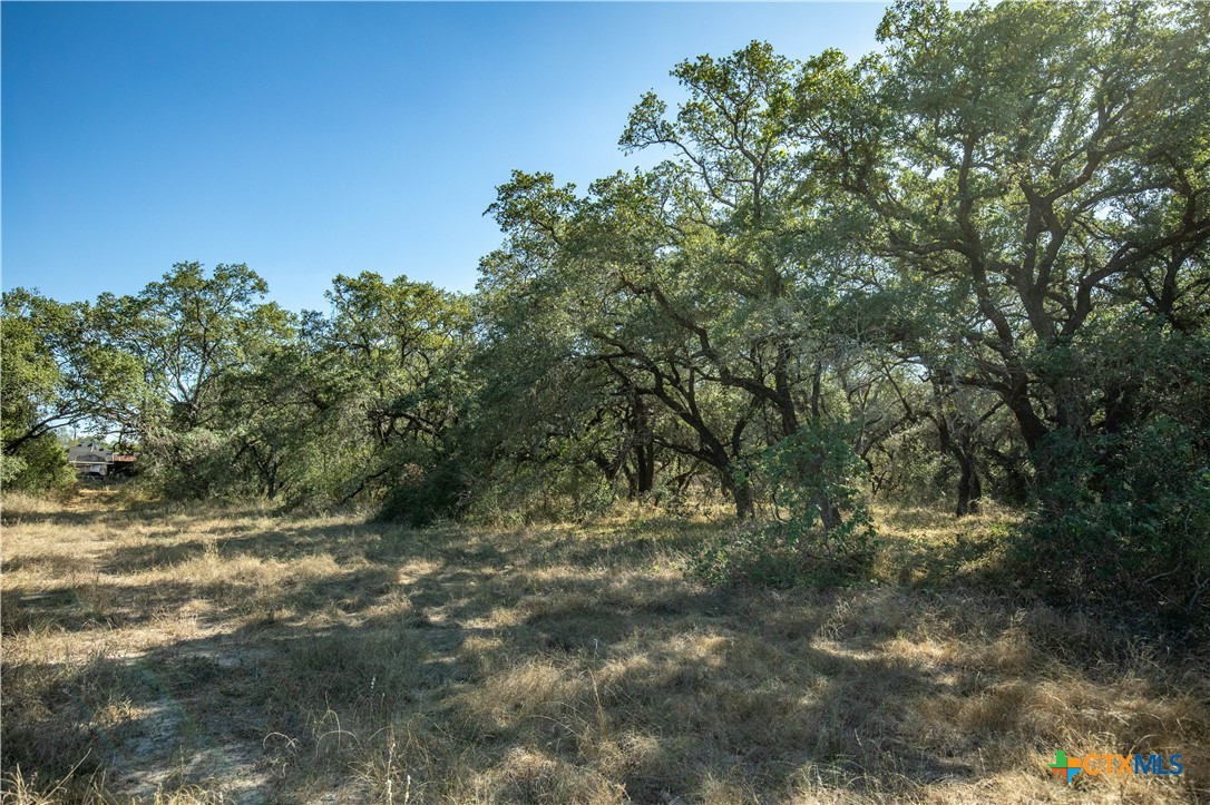 21123 Lamm Road Property Photo 30