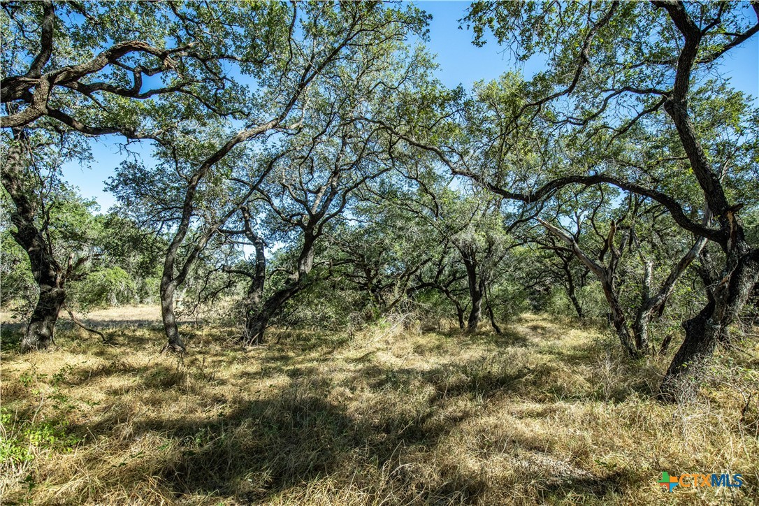 21123 Lamm Road Property Photo 31