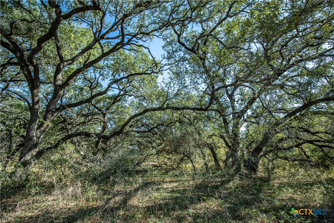 21123 Lamm Road Property Photo 32