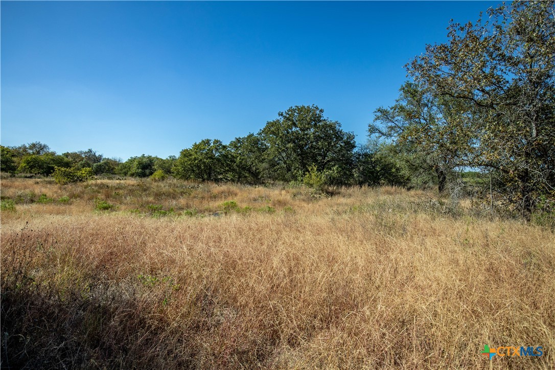 21123 Lamm Road Property Photo 33