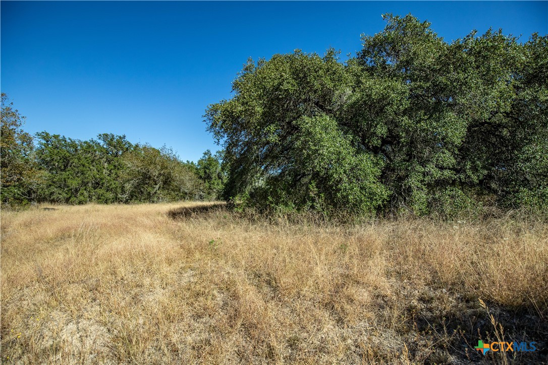 21123 Lamm Road Property Photo 34