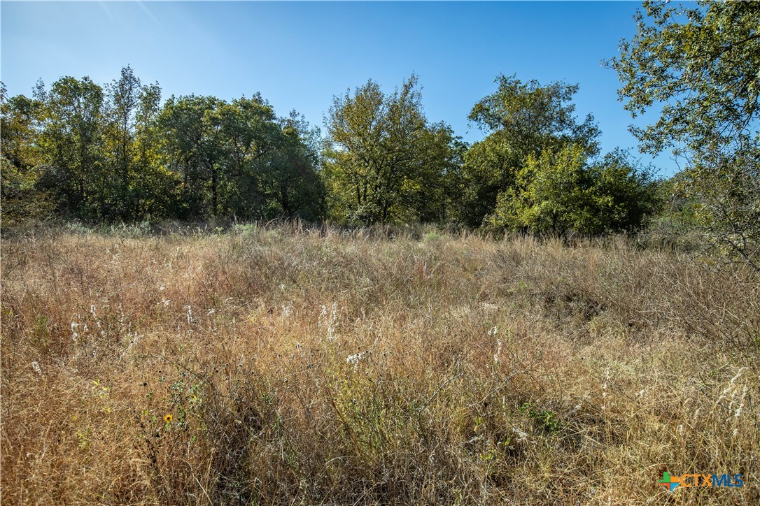 21123 Lamm Road Property Photo 35