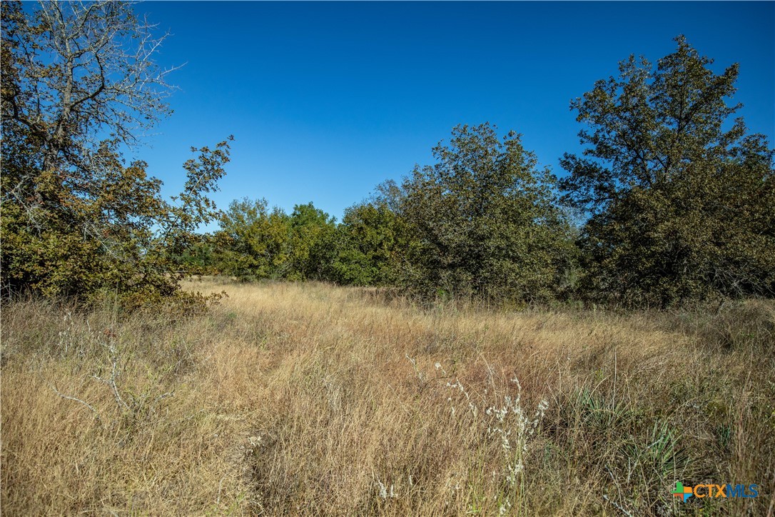 21123 Lamm Road Property Photo 36