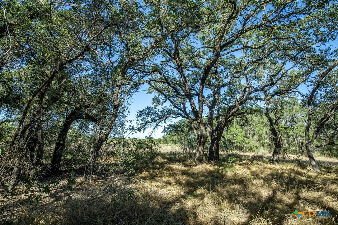 21123 Lamm Road Property Photo 38