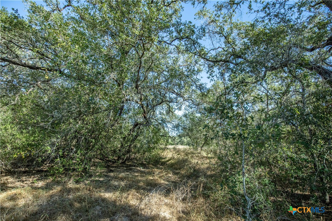 21123 Lamm Road Property Photo 39