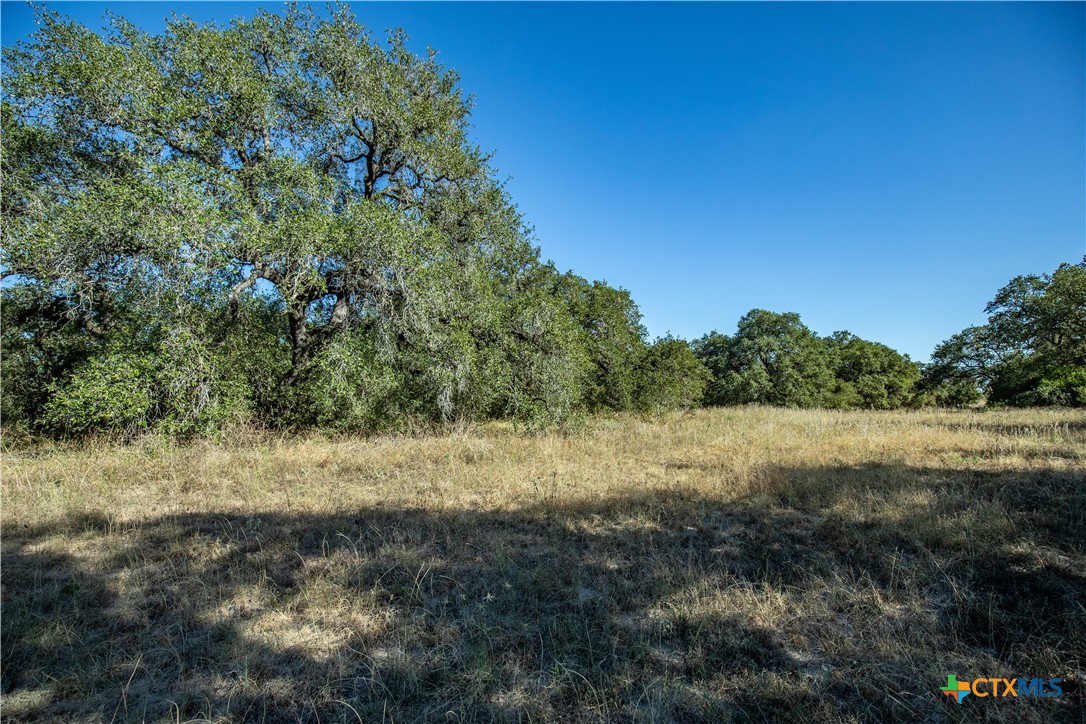 21123 Lamm Road Property Photo 40