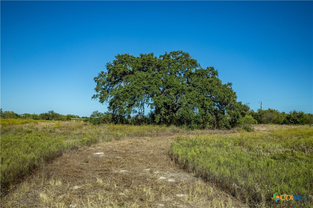 21123 Lamm Road Property Photo 41
