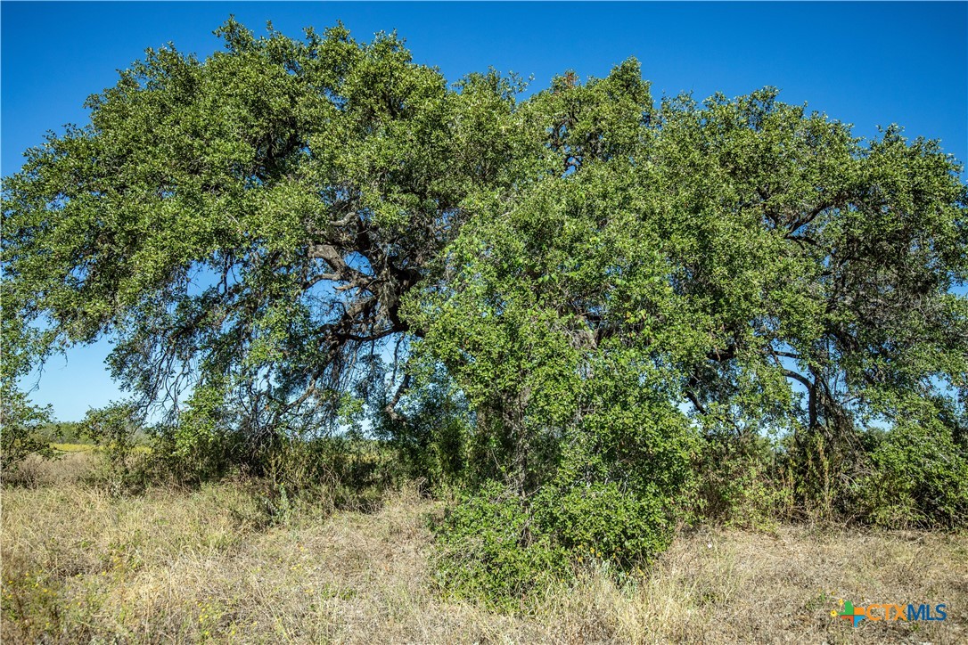 21123 Lamm Road Property Photo 42
