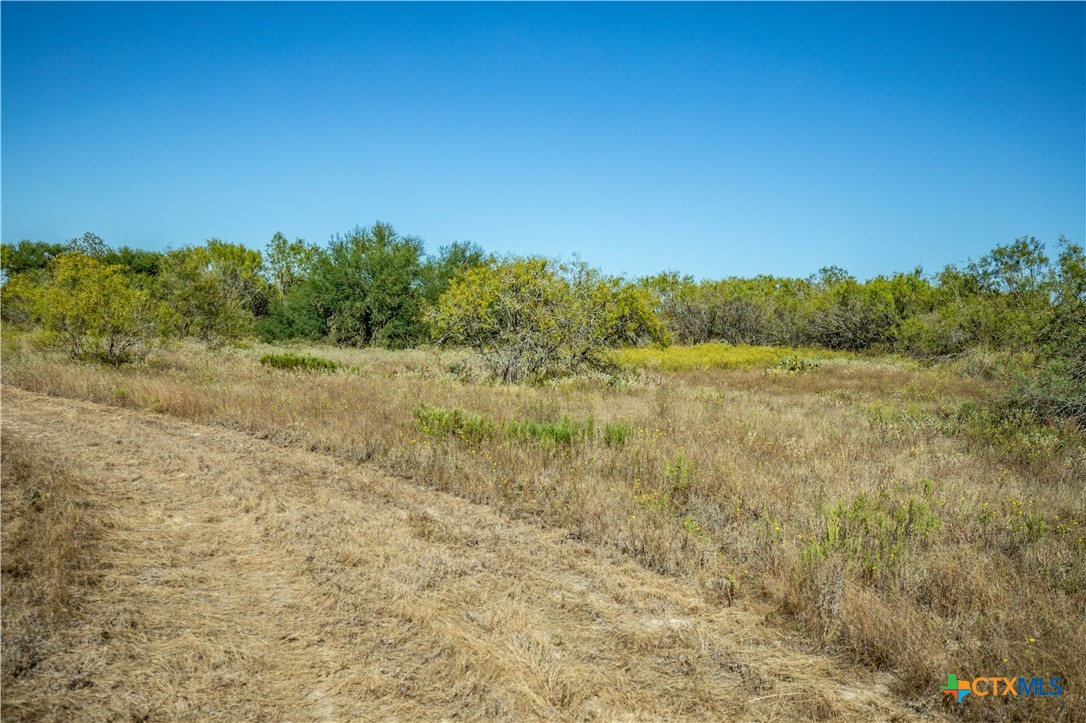 21123 Lamm Road Property Photo 44