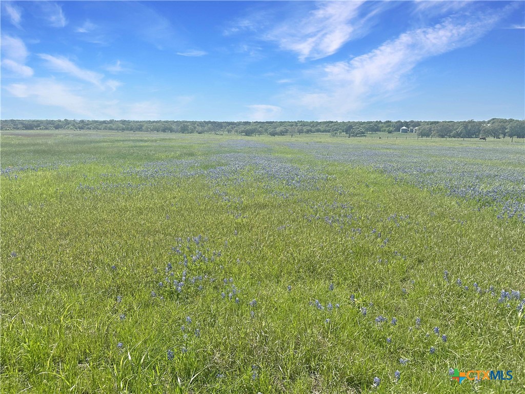 2523 Roitsch Road Property Photo 1