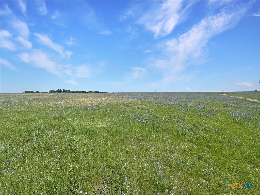 2523 Roitsch Road Property Photo 2