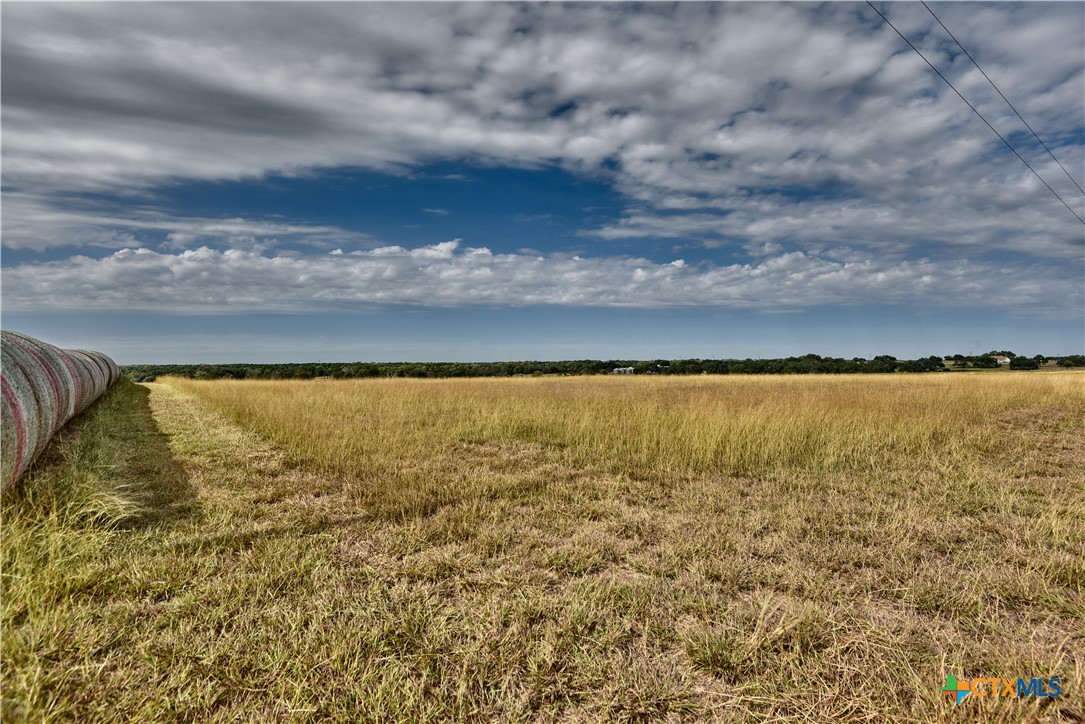 2523 Roitsch Road Property Photo 7