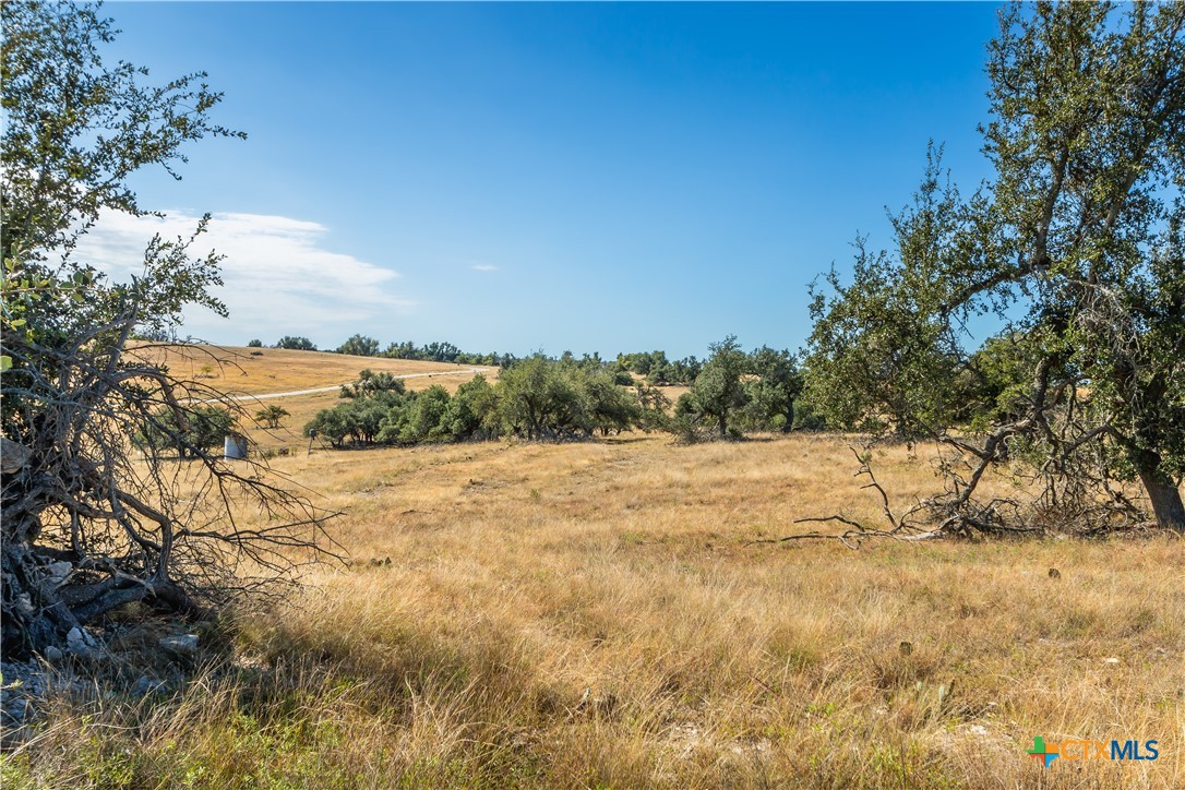 Tbd Lot 16 Reeh Road Property Photo 5
