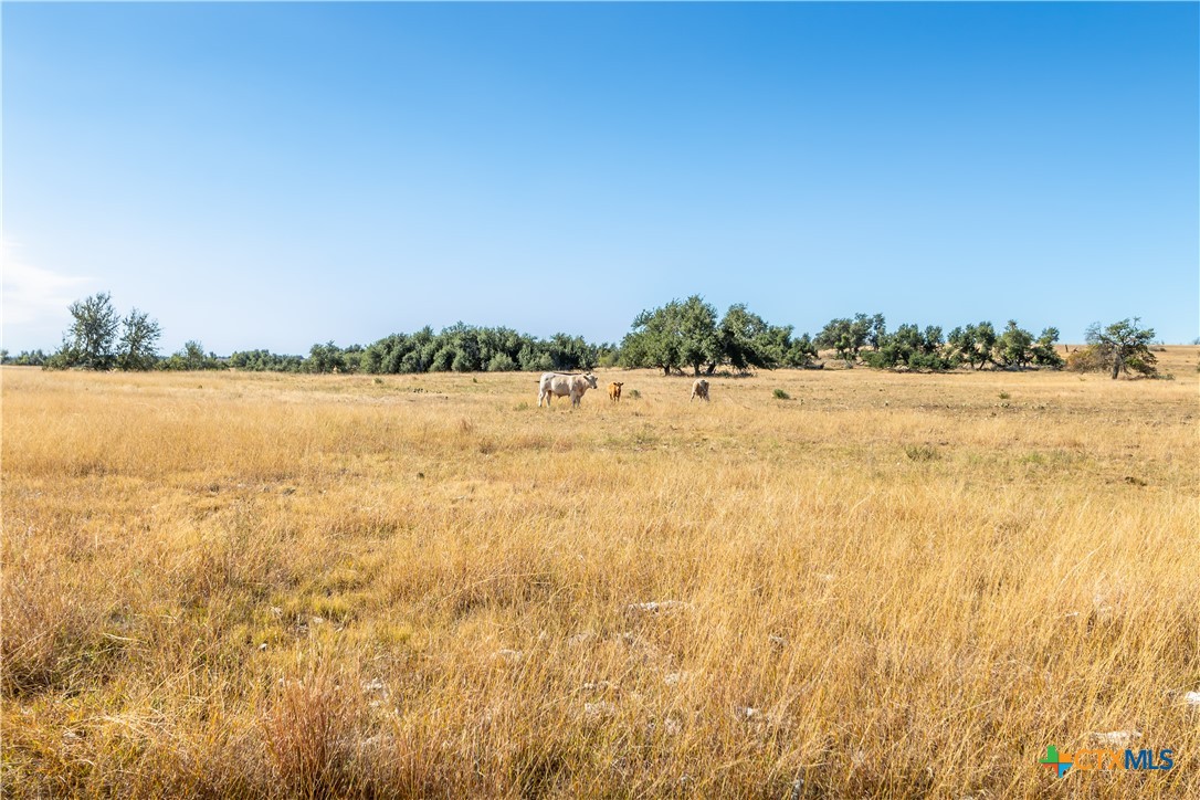 Tbd Lot 16 Reeh Road Property Photo 32