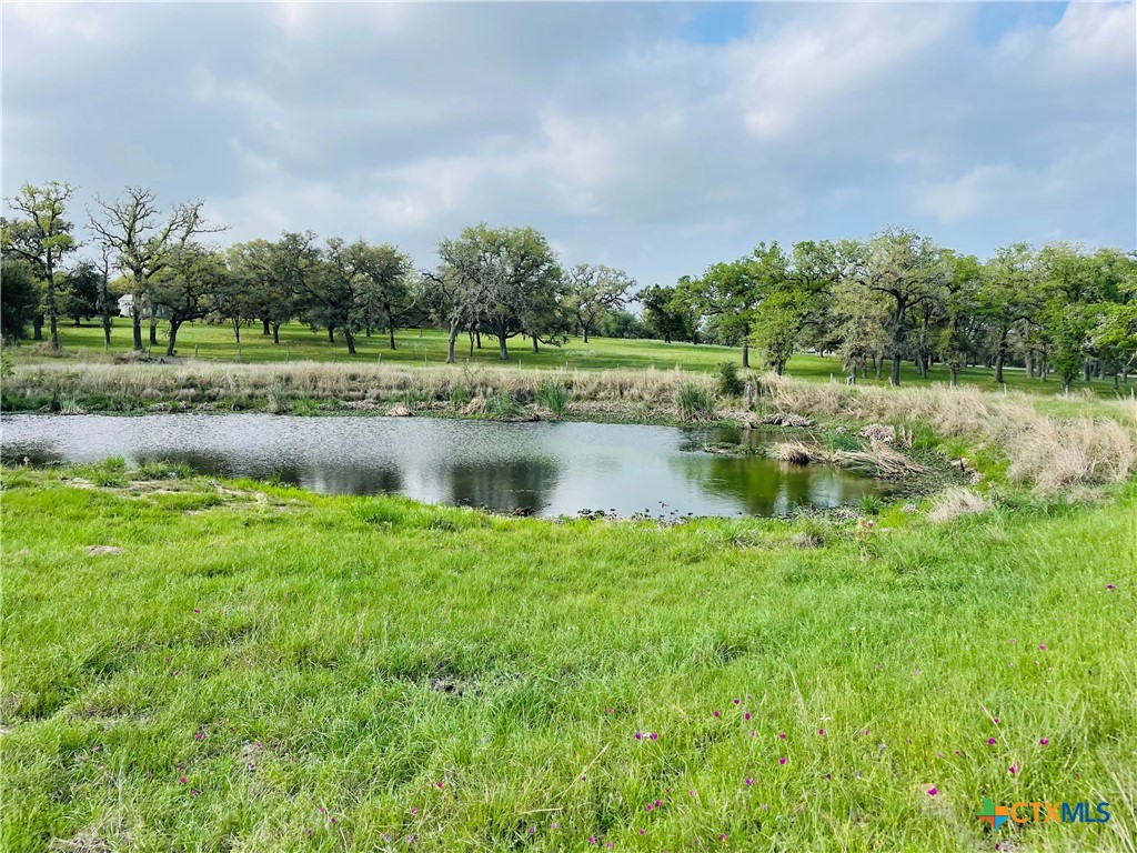 2110 Live Oak Road Property Photo 12