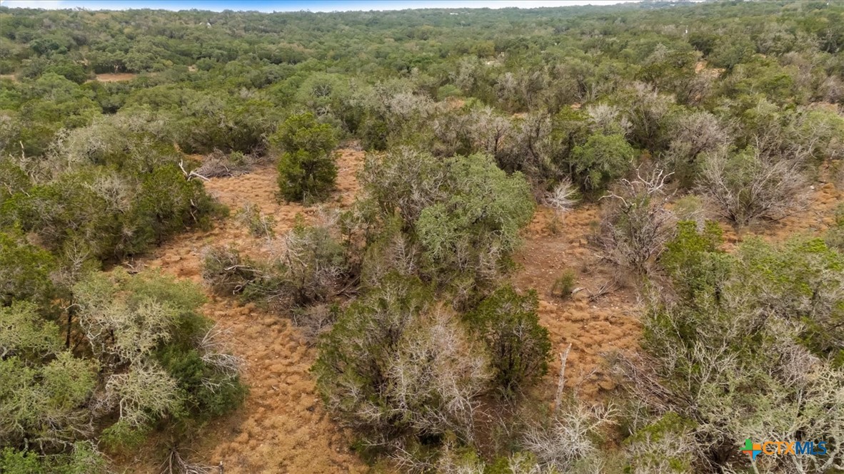 1600 Alpine Trail Property Photo 36