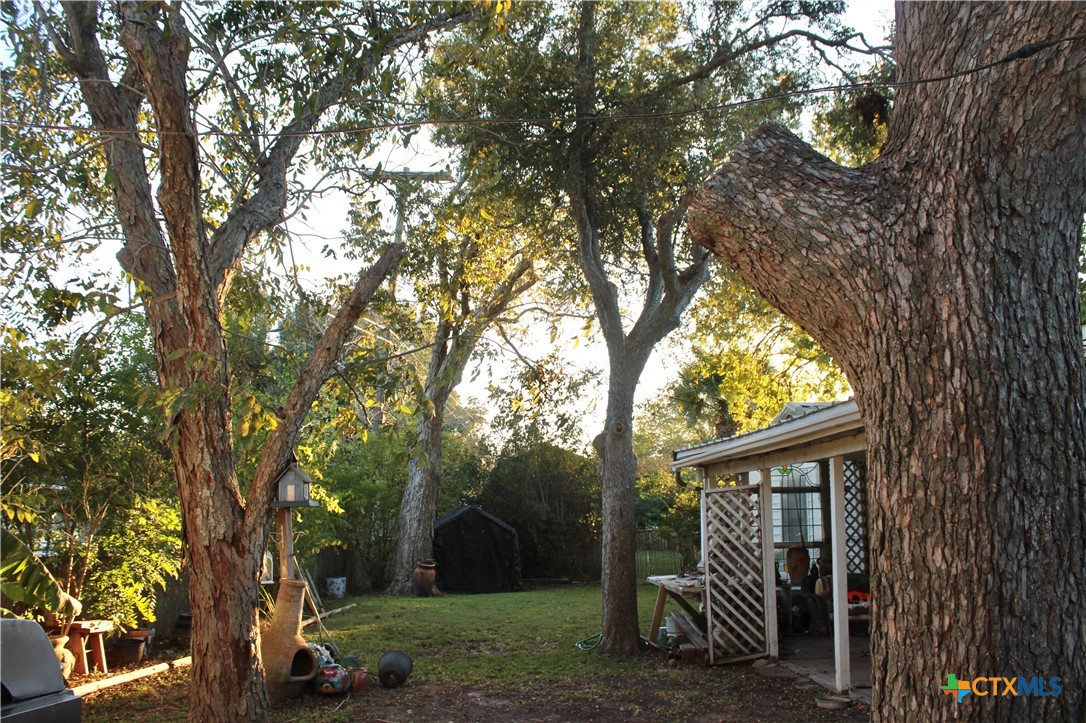 110 Crockett Street Property Photo 25