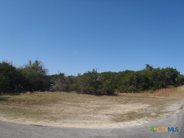 1345 Live Oak Dr Property Photo