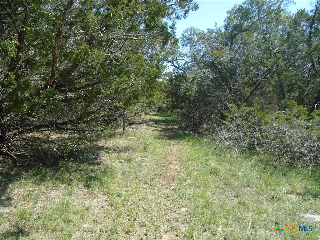 844 Plainview Road Property Photo 5