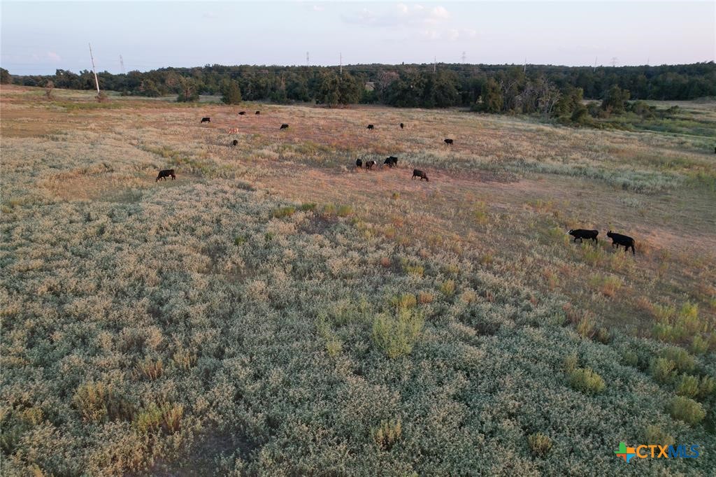 Tbd Tract 2 County Road 449 Property Photo 4
