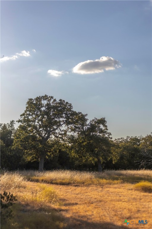 18.145 Acres Herber-schaefer Road Property Photo 3