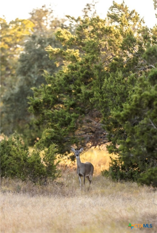 18.145 Acres Herber-schaefer Road Property Photo 4