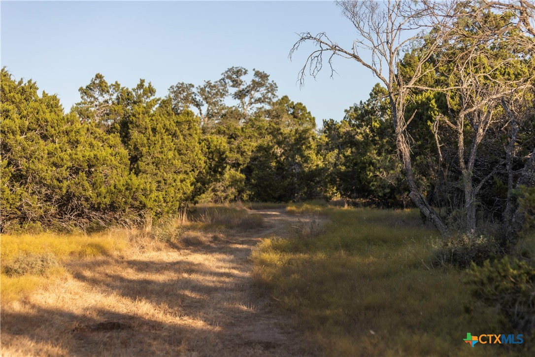 18.145 Acres Herber-schaefer Road Property Photo 6
