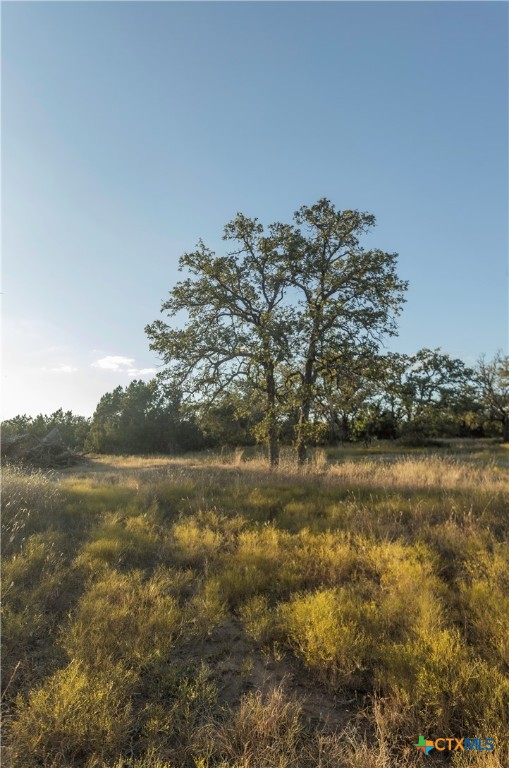 18.145 Acres Herber-schaefer Road Property Photo 8