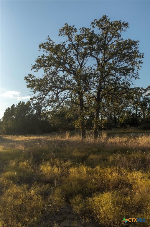 18.145 Acres Herber-schaefer Road Property Photo 9