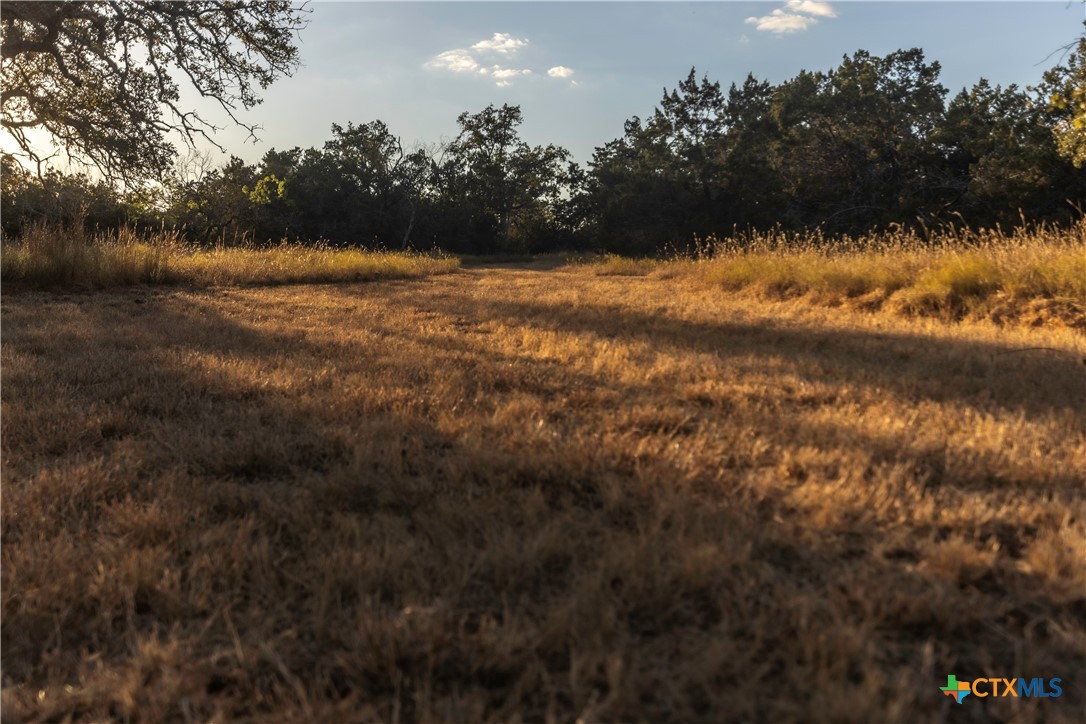 18.145 Acres Herber-schaefer Road Property Photo 10