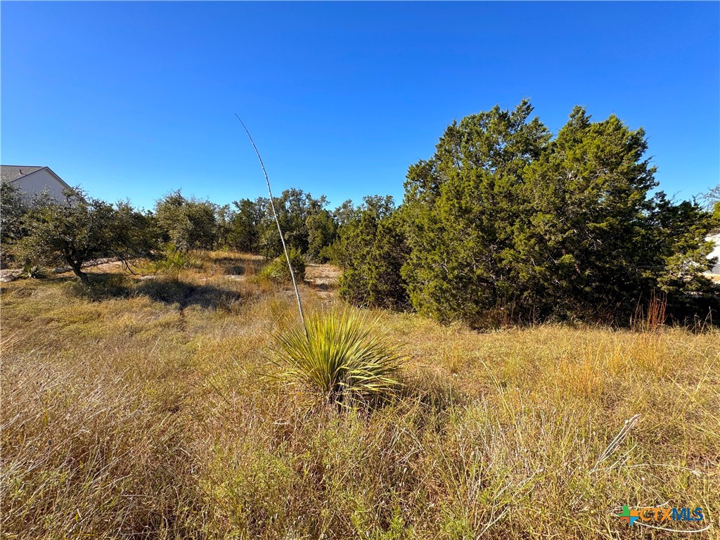 636 Angelica Vista Property Photo 7