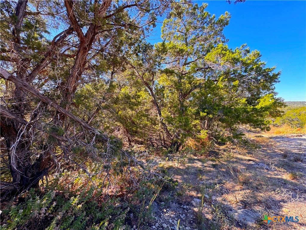 636 Angelica Vista Property Photo 11