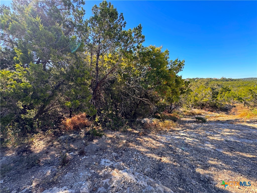 636 Angelica Vista Property Photo 12