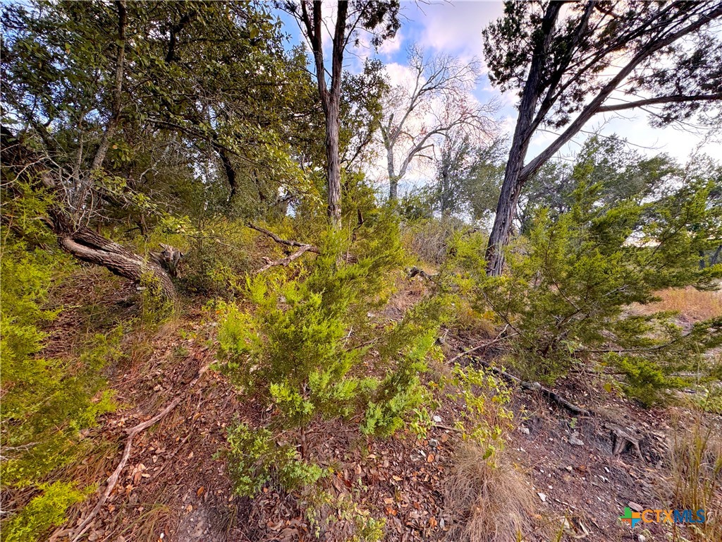 762 & 758 Firefly Drive Property Photo 5