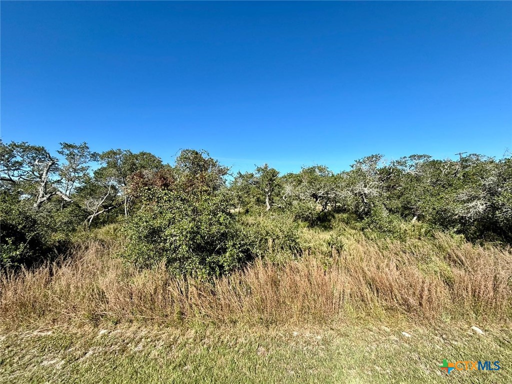 185 Walter Heldenfels Cir Property Photo 1