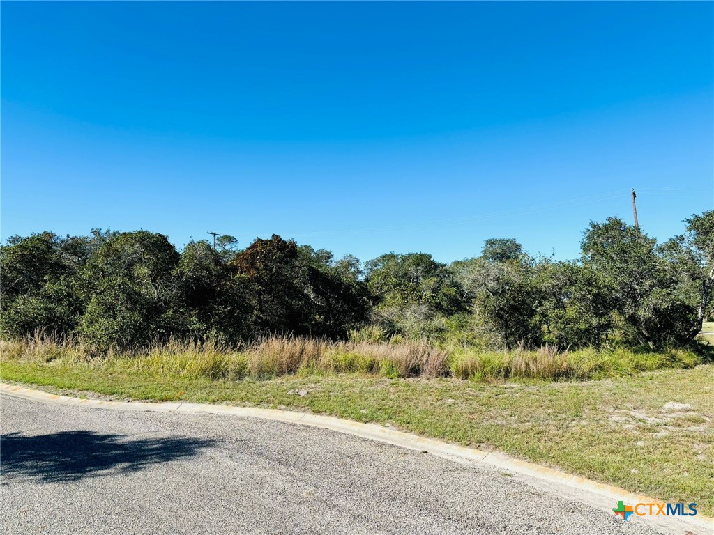 185 Walter Heldenfels Cir Property Photo 10