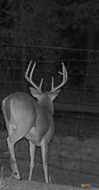 Tbd Us-90-alt Property Photo 21