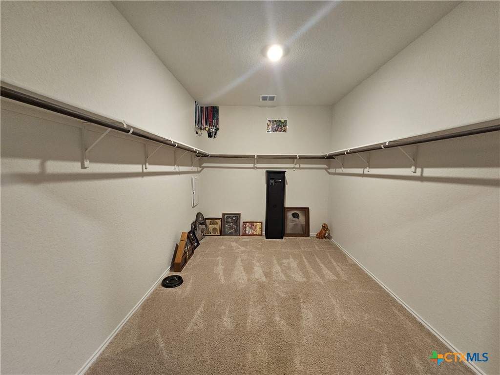 916 Armadillo Drive Property Photo 9