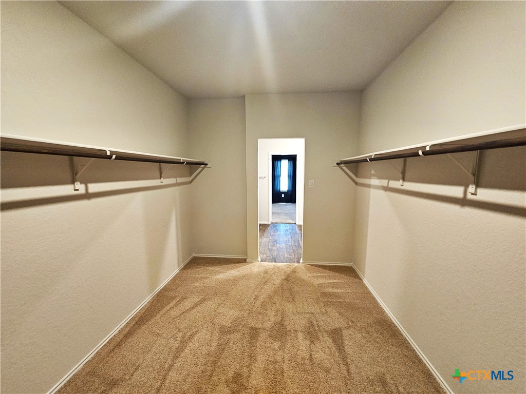 916 Armadillo Drive Property Photo 10