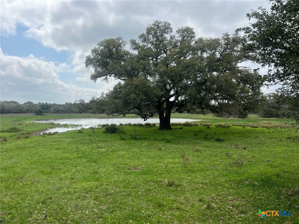 00 Cr 15a Road Property Photo 8