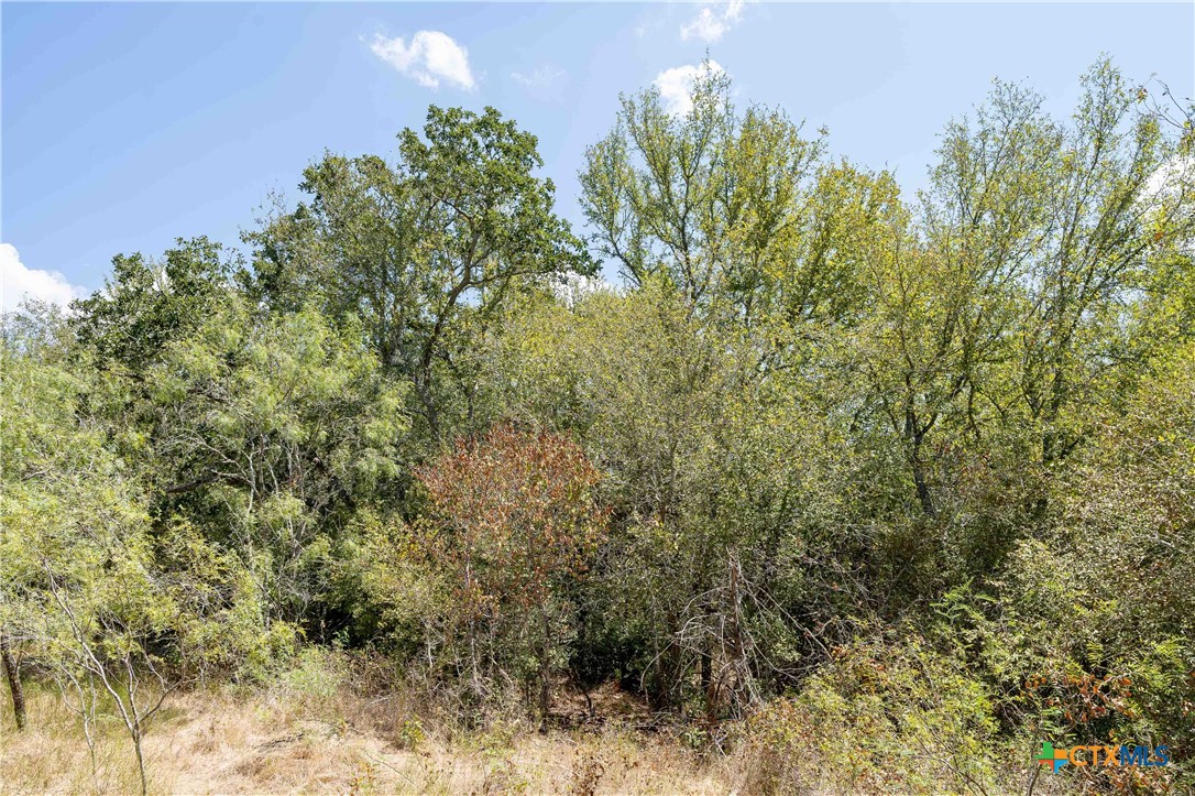 9054 Fm 713 Property Photo 10