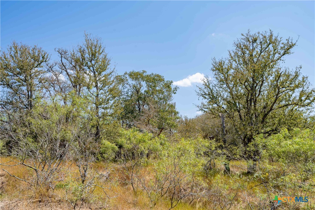 9054 Fm 713 Property Photo 11