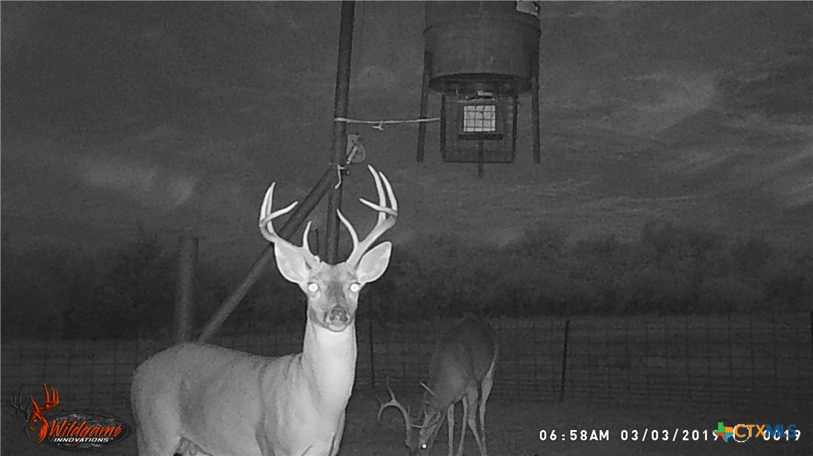 9054 Fm 713 Property Photo 16