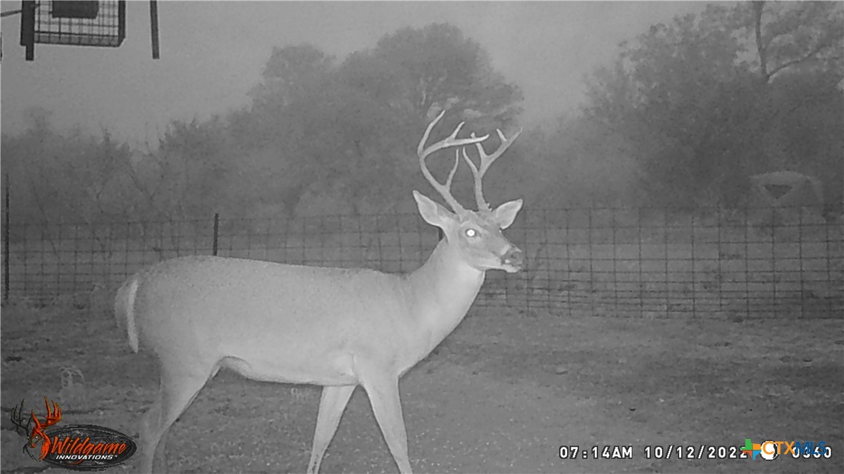 9054 Fm 713 Property Photo 17