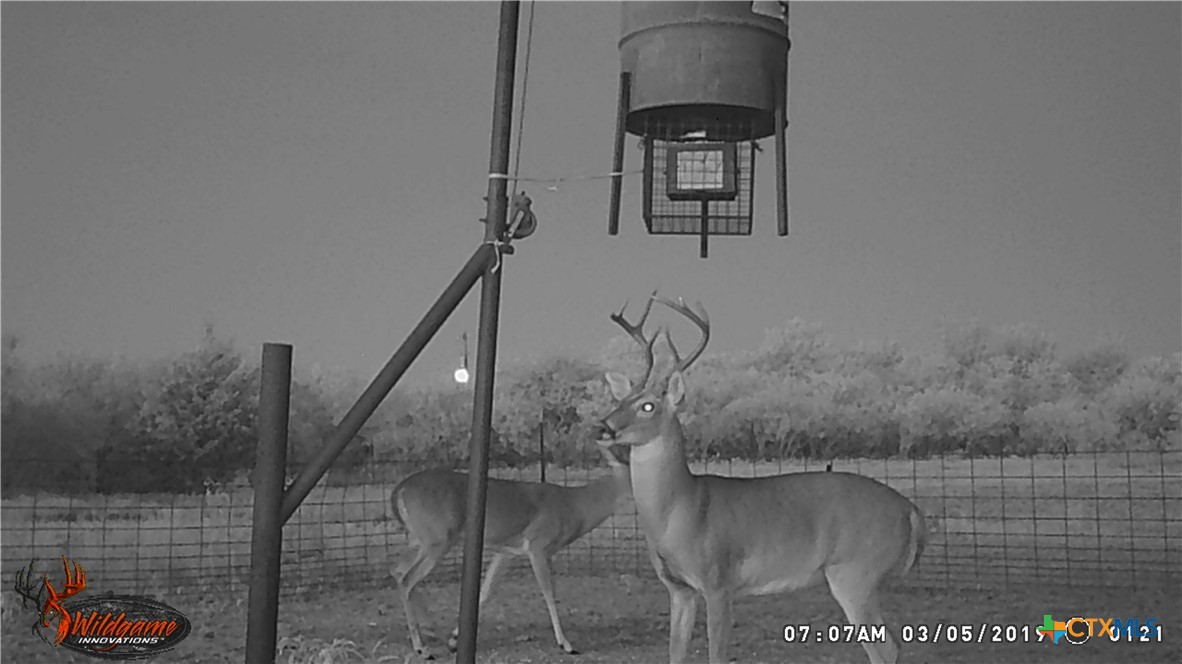9054 Fm 713 Property Photo 18