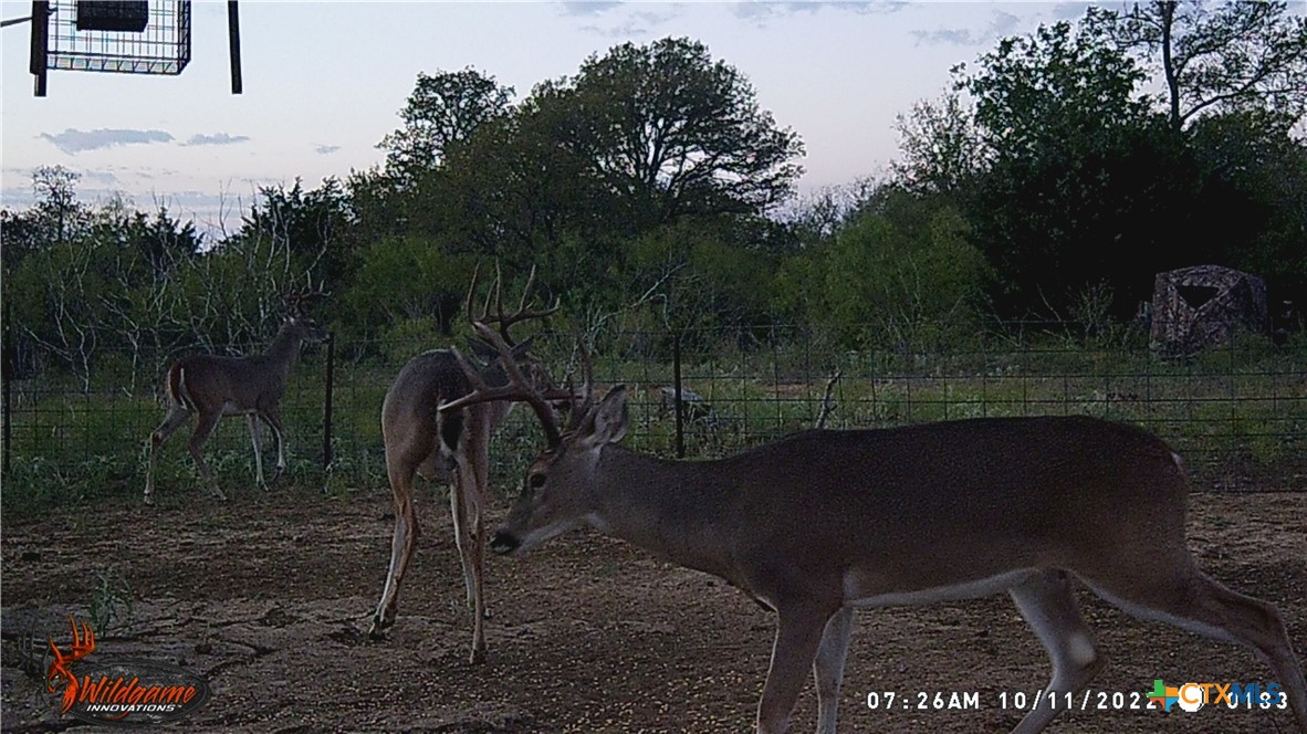 9054 Fm 713 Property Photo 20