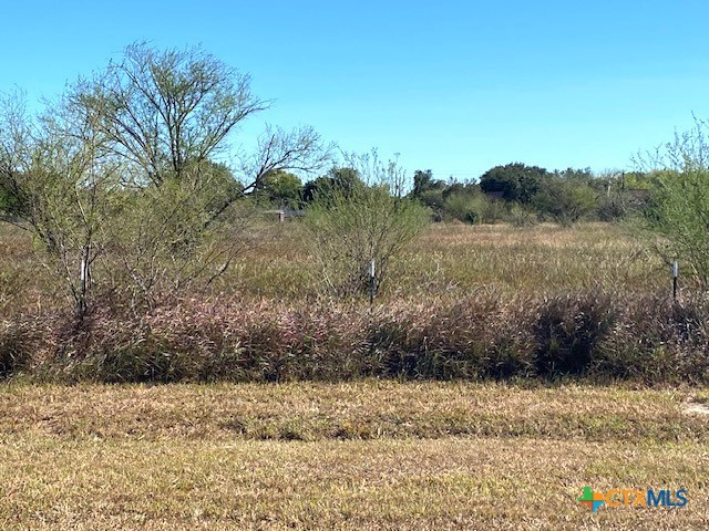 1401 Ball Airport Road Tract A Property Photo 3